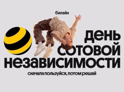 Билайн в честь Дня сотовой независимости сделал свои сервисы бесплатными на месяц