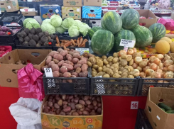 Цены не летние: подорожание капусты и огурцов снова зафиксировали на Ставрополье 