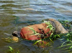Труп мужчины нашли рыбаки на островке в реке под Пятигорском 