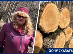 «Их используют для топки бань»: массовая вырубка деревьев в очередной раз шокировала жителей Ставрополя