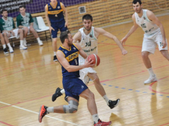 Реванш в дебюте: баскетболисты ставропольского «Динамо» начали чемпионат России с домашней победы   