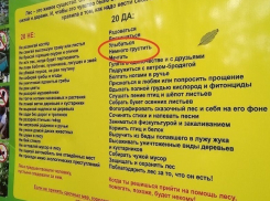 Спасти жука и подружиться с бродягой-ветром порекомендовали ставропольцам на новой эко-тропе 