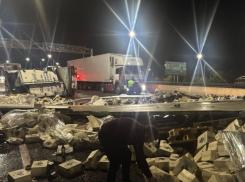 Вино рекой: как грузинский алкоголь устроил пробку на подъезде к Железноводску 