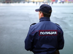 Житель Ставрополья получил условный срок за укус полицейского