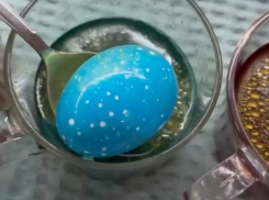 Пятнистые яйца с растительным маслом: звезда КВН из Пятигорска Ольга Картункова проверила модный лайфхак