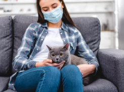 Ставропольцы продолжают игнорировать режим самоизоляции