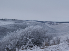 Бештаугорский заказник уменьшили еще на 13 гектаров