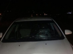 Бабушка-пешеход погибла под колесами иномарки на Ставрополье