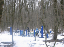 «Тропа здоровья» на 20 километров появится возле Холодных родников в Ставрополе