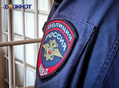 Ставропольский умелец «наварил» 1,2 миллиона на несуществующих воротах и доехал до Петербурга