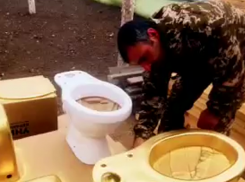 Золотые унитазы в честь экс-начальника ГИБДД Сафонова установили на бахче Пономаревых на Ставрополье 