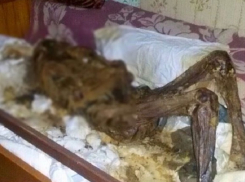 На Ставрополье мужчина хранил труп матери у себя дома