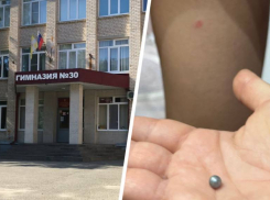 После стрельбы в 30 гимназии Ставрополя власти провели с родителями профилактическую беседу