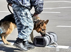 В Ессентуках полицейские подложили «бомбу» своим коллегам