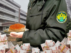 Что наша жизнь — икра: шикарным деликатесом за 5 миллионов покормят таможенников в санатории Кисловодска 