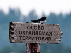 Четыре особо охраняемые территории появились в Пятигорске
