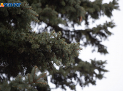 Дождь и порывы до 14 метров в секунду ожидаются на Ставрополье 26 февраля