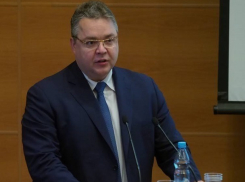 Отнимать у фермеров и сельхозпроизводителей теряющую плодородность землю предложил в Госдуме губернатор Ставрополья Владимиров