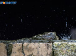 Долгожданный дождь омоет улицы Ставрополя 31 июля 