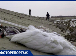 Сотни трупов диких птиц убрали охотники с берега реки Айгурки на Ставрополье