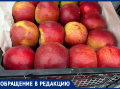 Жители не видят плоды «яблочного королевства» Ставрополья на прилавках местных магазинов  