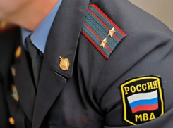 На Ставрополье мужчину посадили за сорванный с полицейского погон