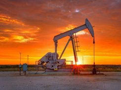 Москвичи приехали спасать нефтегазовую промышленность на Ставрополье 