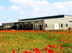 Вода для «Газпрома» и натуральная очистка: как молодая компания по производству питьевой воды покоряет Ставрополье