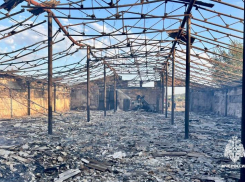 Пожар на 2 тысячах квадратных метров уничтожил 5 тонн зерна на Ставрополье 