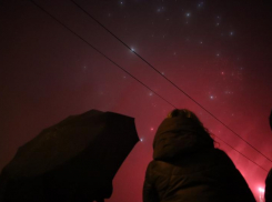 Звездный дождь над Ставропольем: когда и как можно увидеть Метеоритные потоки Таурид и Леониды