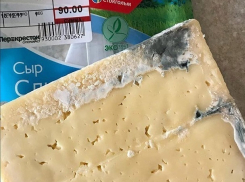 Сыры с вредной отвратительной плесенью легко можно купить в магазинах Пятигорска 