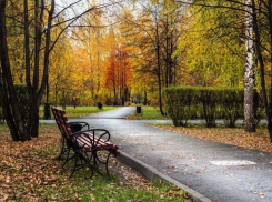 «Осень пришла»: холодно и пасмурно будет в Ставрополе во вторник 