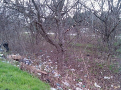 Неизвестный мужчина устроил свалку в центре станицы Ставрополья