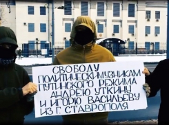 Освободить ставропольцев Уткина и Васильева потребовали от российских властей националисты из Киева