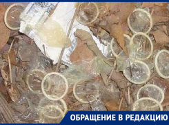 Секс за забором, презервативы на земле и шум в 5 утра замучили жителей села на Ставрополье 
