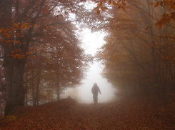 Туманный и прохладный день ждет ставропольцев в субботу