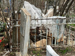 Собачий приют на могилах устроили в Ставропольском крае