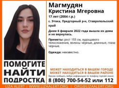 На Ставрополье пропала 17-летняя девушка