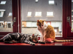 Хмурый и пасмурный день ждет Ставрополь во вторник 