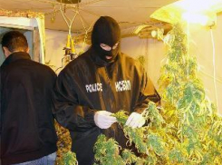 Наркополицейского поймали на мошенничестве