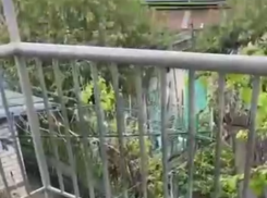 Неожиданно выпавший в мае град в Ставрополе попал на видео 