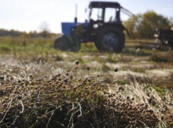 На Ставрополье столкнулся трактор и грузовик: двое погибли