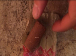 Извивающихся белых червей обнаружили в шоколадных конфетах покупатели в Ставрополе