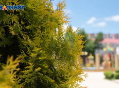 Солнце и потепление до +37 градусов ожидаются на Ставрополье 24 июля