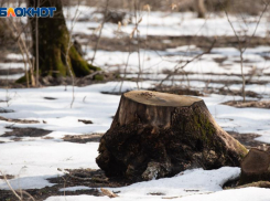 Крепкие морозы на Ставрополье сохранятся 20 января 