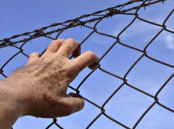 Заключенный съел проволоки на 250 тыс рублей в колонии Ставрополья