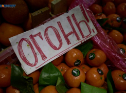 Новогодний стол «влетит в копеечку» ставропольцам: актуальные цены на яйца, огурцы и картофель