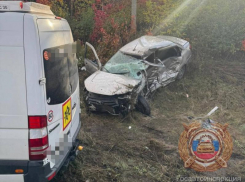 Уголовное дело возбуждено по факту ДТП с семью пострадавшими детьми на Ставрополье