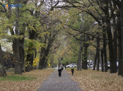 Почти 50 миллионов рублей потратят на благоустройство сквера в Ставрополе