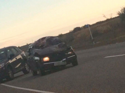 Лошадь кинулась под колеса автомобиля на Ставрополье